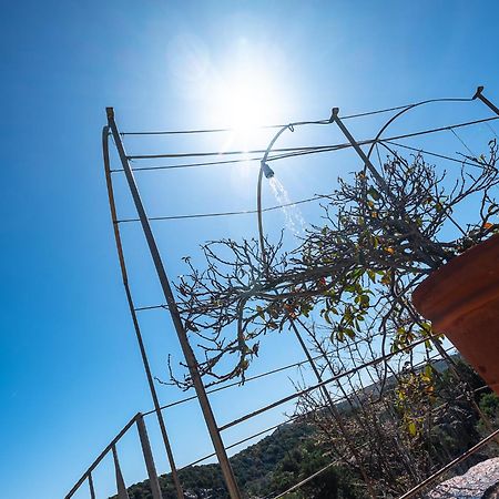 Sardinia Family Villas - Villa Nina With Private Pool Abbiadori 외부 사진