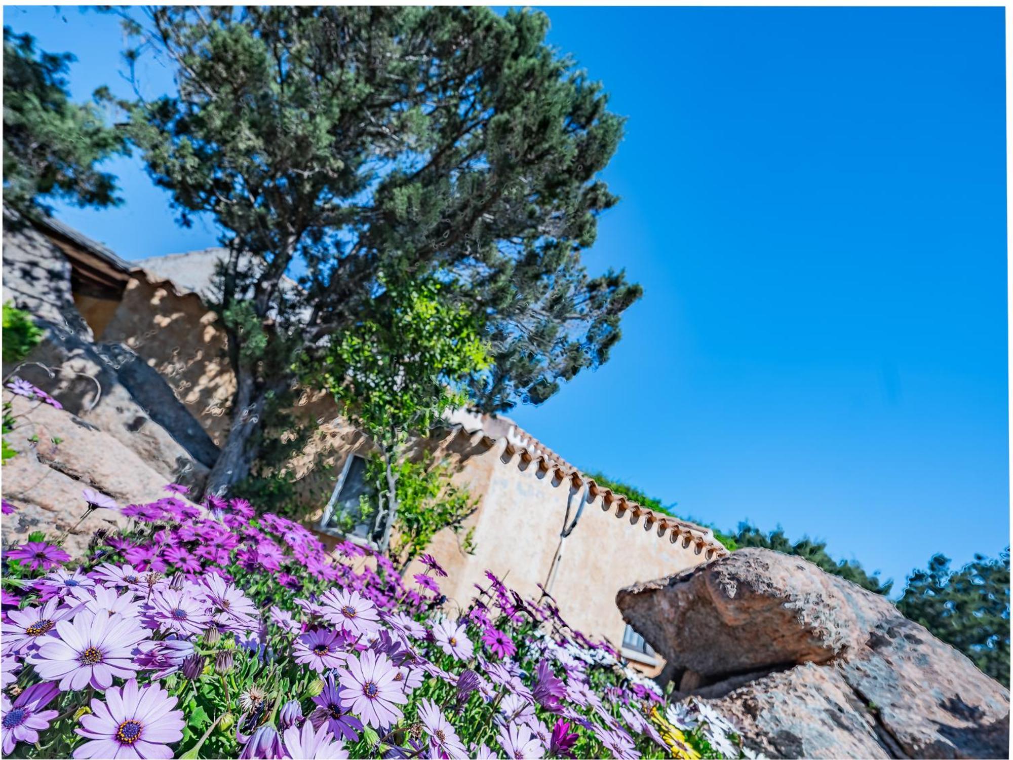Sardinia Family Villas - Villa Nina With Private Pool Abbiadori 외부 사진